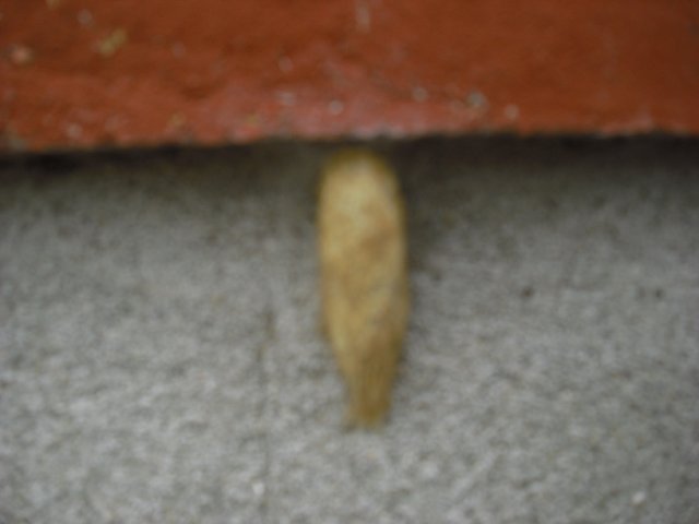 cimg0741