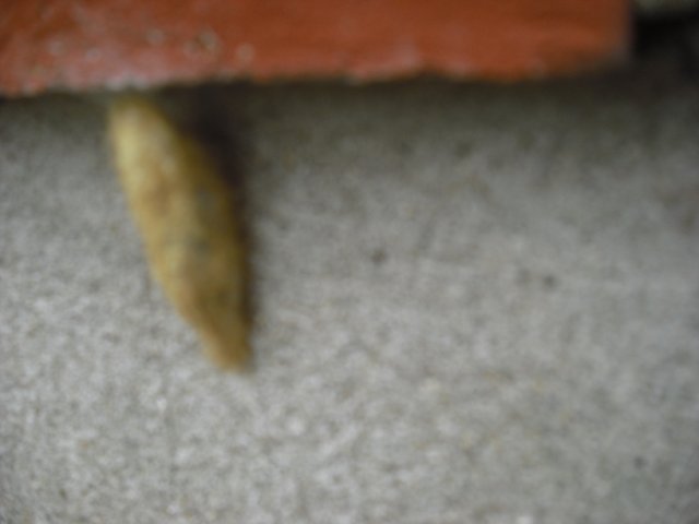 cimg0742