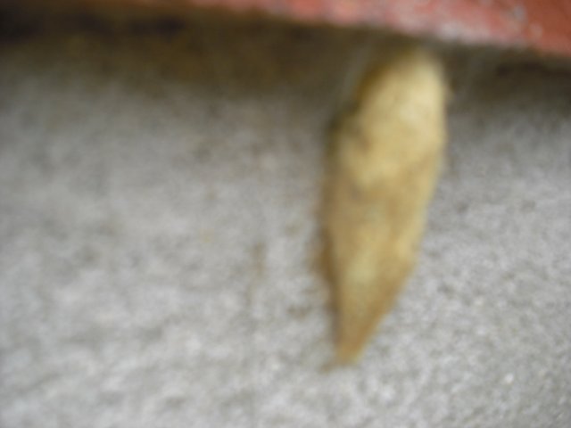 cimg0743