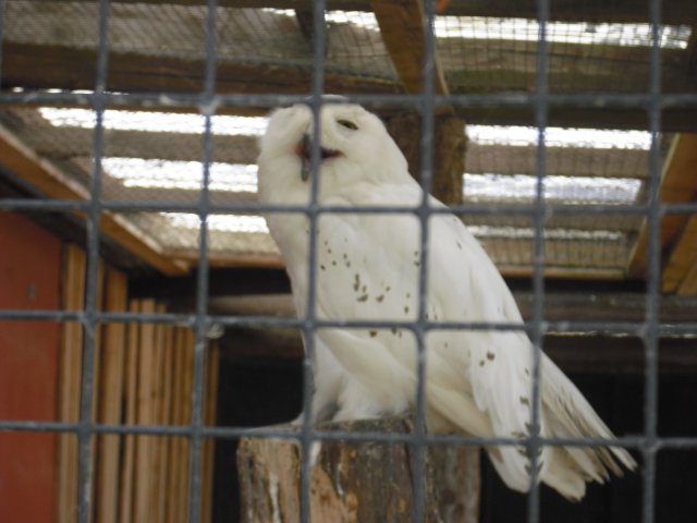 cimg0749