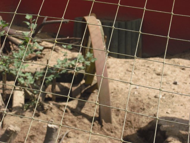 cimg0753