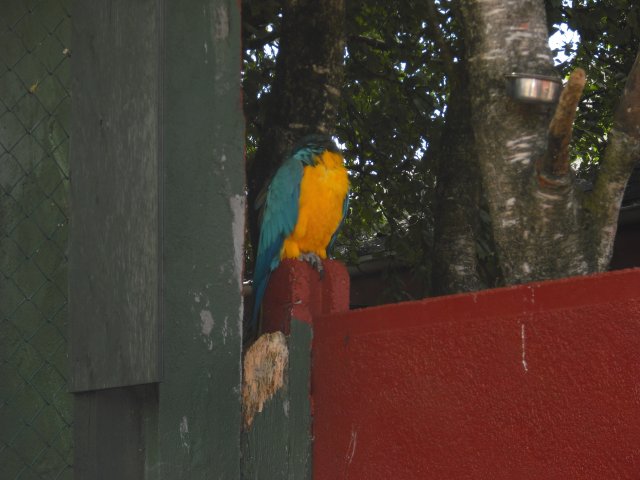cimg0803