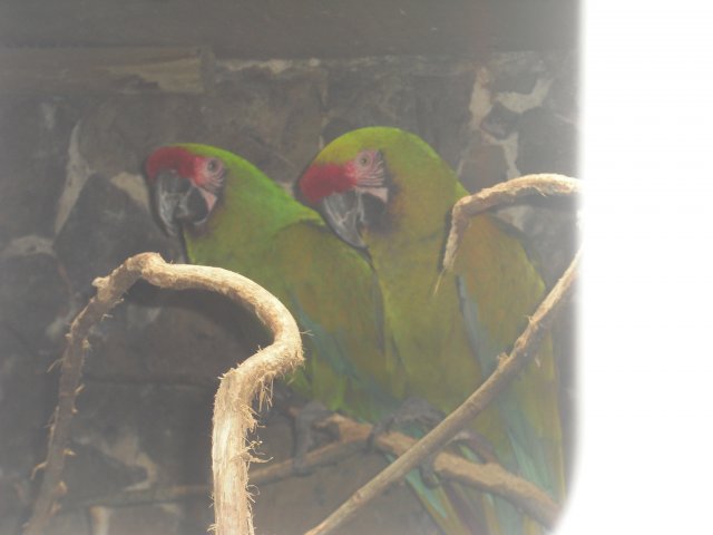 cimg0808