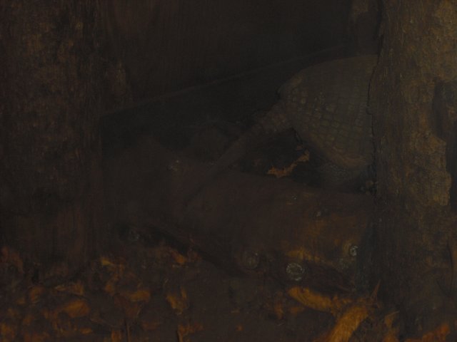 cimg0813