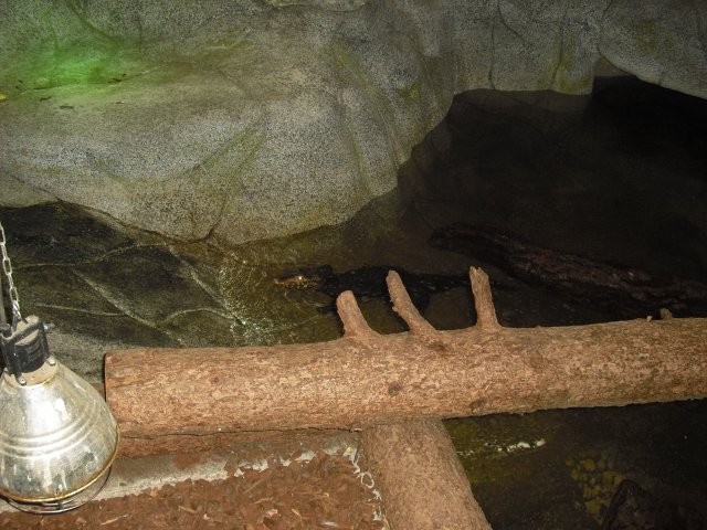 cimg0849
