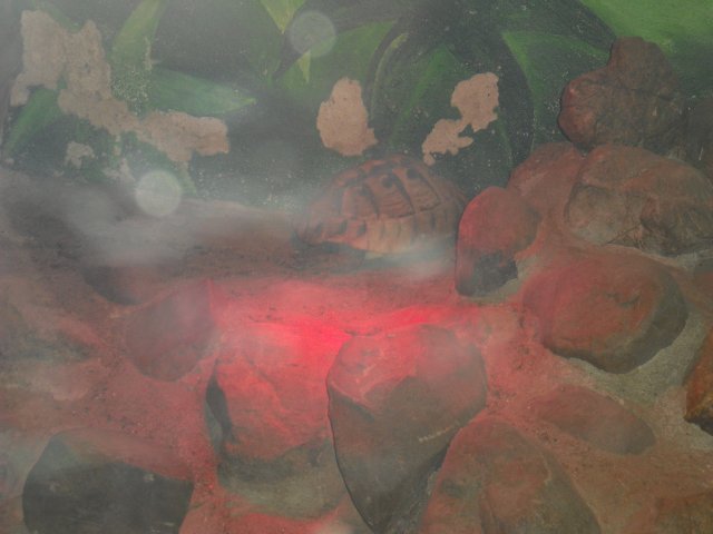 cimg0862