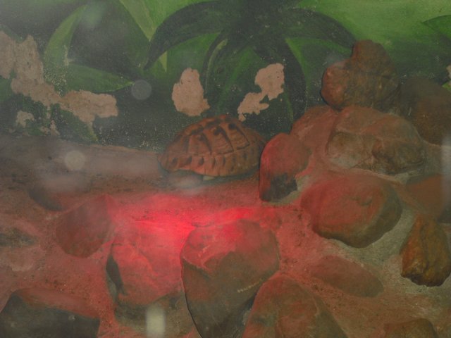cimg0863