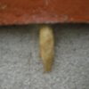 cimg0741