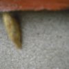 cimg0742