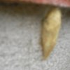 cimg0743