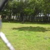 cimg0758