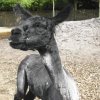 cimg0776