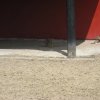 cimg0779