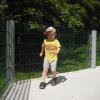 cimg0783
