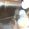 cimg0820