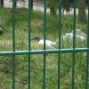 cimg0907