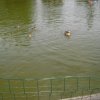 cimg0957