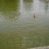 cimg0958